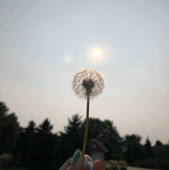 bebenguyen0803